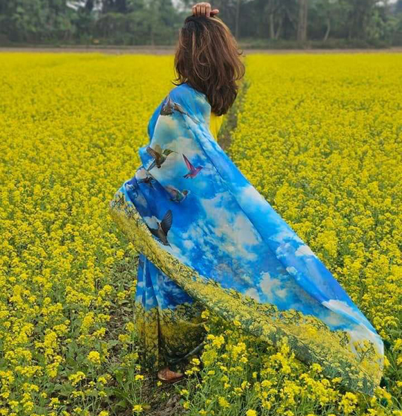 Digital Printed Colurful Saree (MSF)