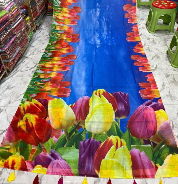 Digital Printed Colurful Saree (MSF)