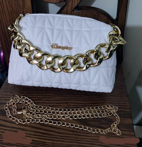 High Quality Luxury Purse Bag (PS)